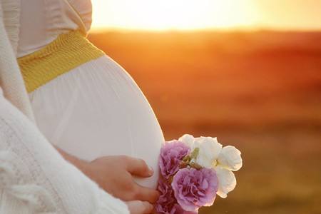 在怀孕的初期吃什么可以很好的保胎