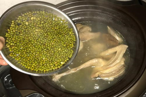 孕妇绿豆煲老鸽的做法