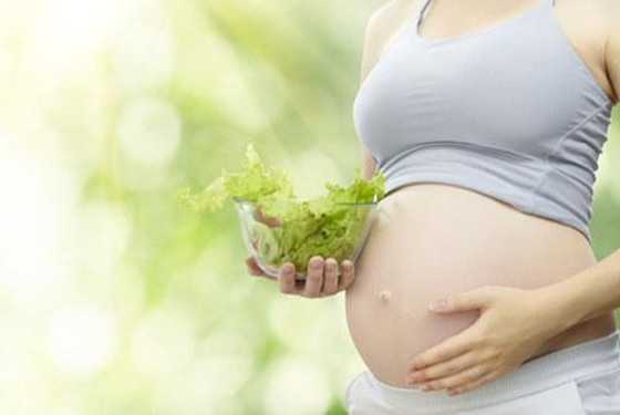 孕期营养摄入有标准