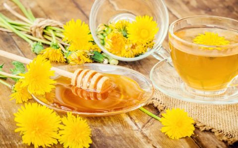 蜂蜜水减肥法是真的吗?
