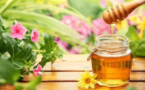 白醋蜂蜜水能减肥吗？白醋蜂蜜水的制作方法！
